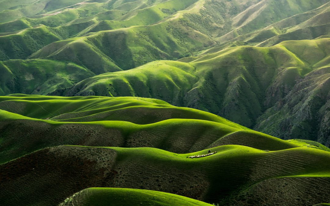 Earth