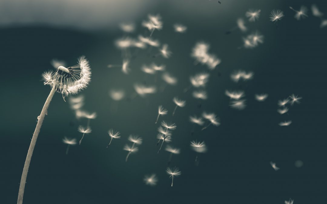 Air